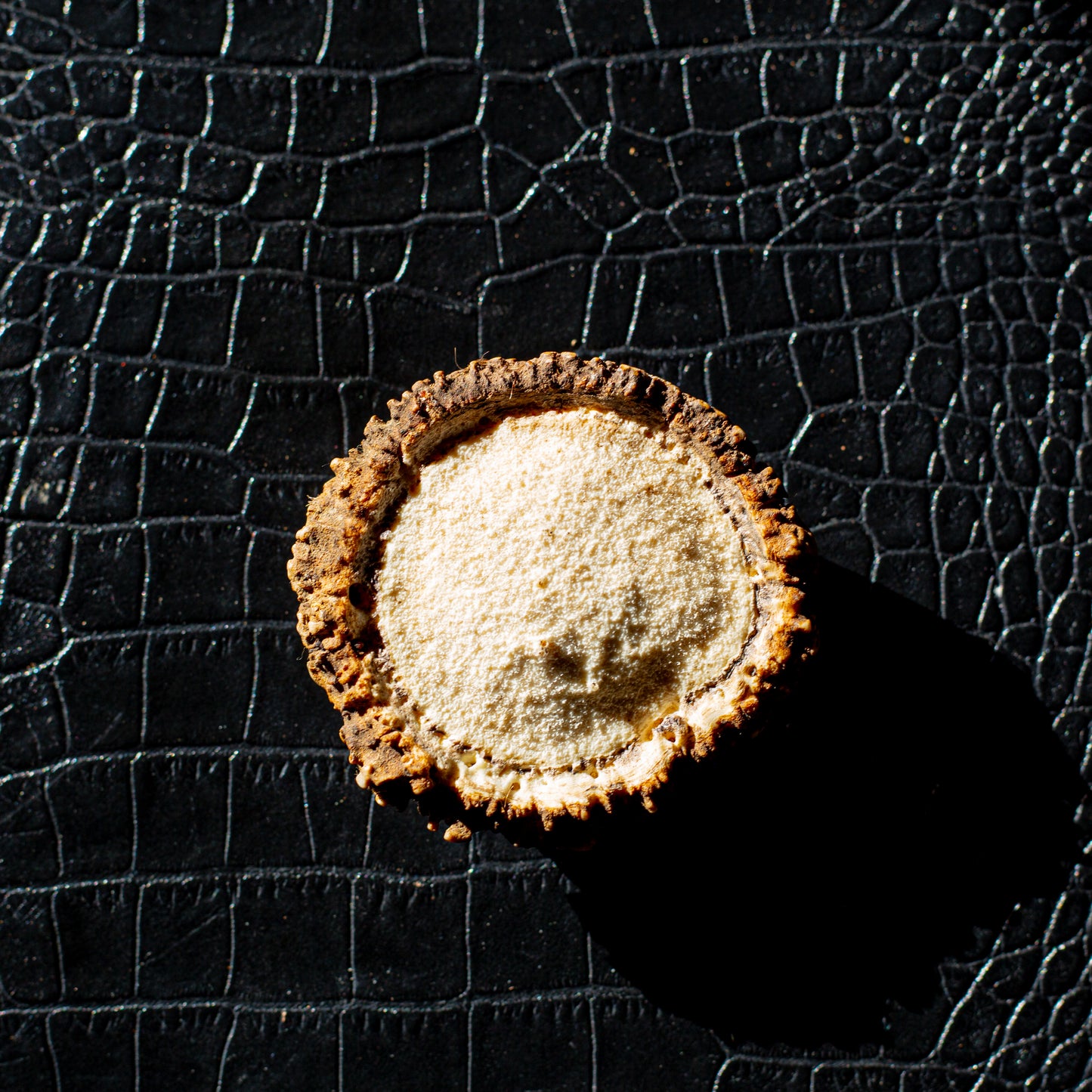 Elk Burr Belt Buckle